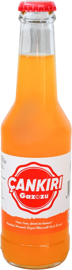 Portakal 250 ml cam şişe